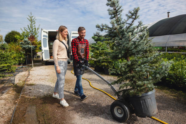 Best Tree Planting  in USA